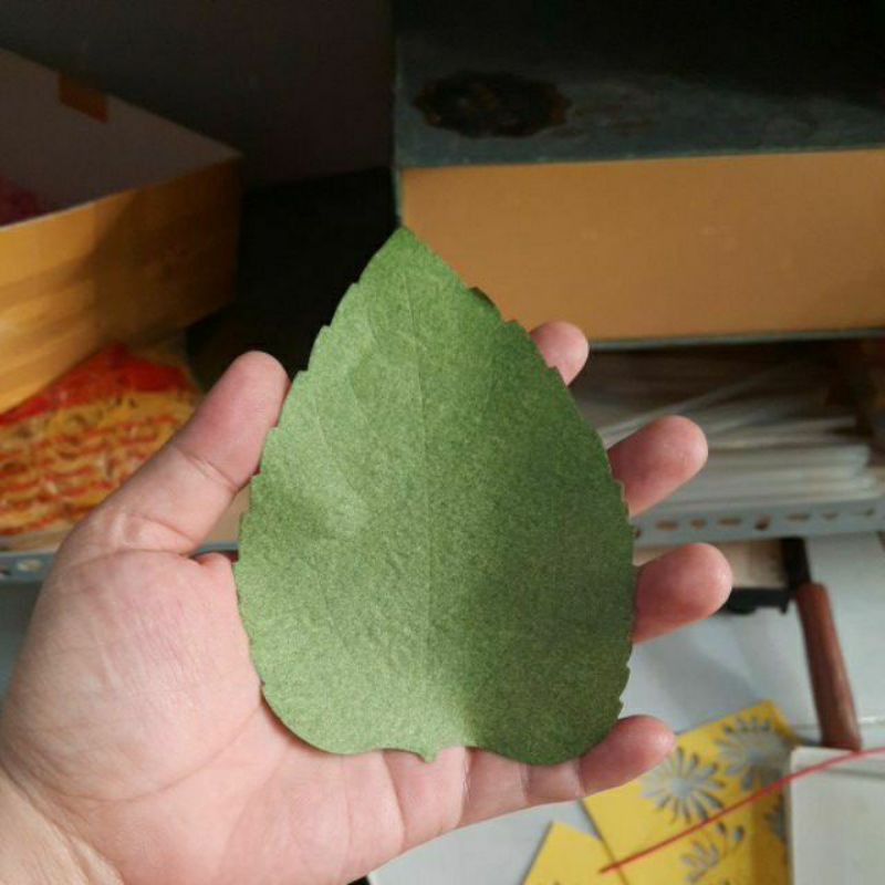 SET 100 LÁ HƯỚNG DƯƠNG