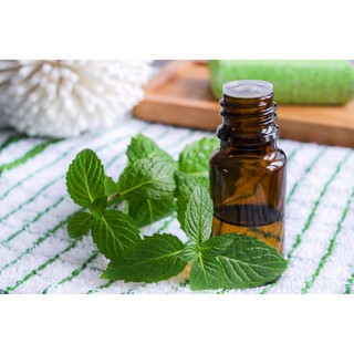Tinh dầu bạc hà 10ml Eco oil( giá siêu rẻ )