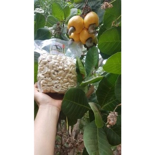 500gr Hạt điều sống
