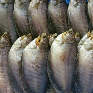 500gr khô cá sặc loại ngon