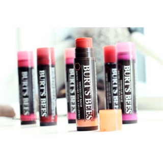 Son dưỡng màu Burt's Bee Tint 100% tự nhiên