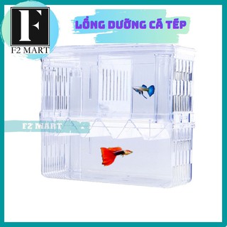 (Có video) Lồng dưỡng cá, ép cá đẻ, tách cá tép mika (gồm hít kính)