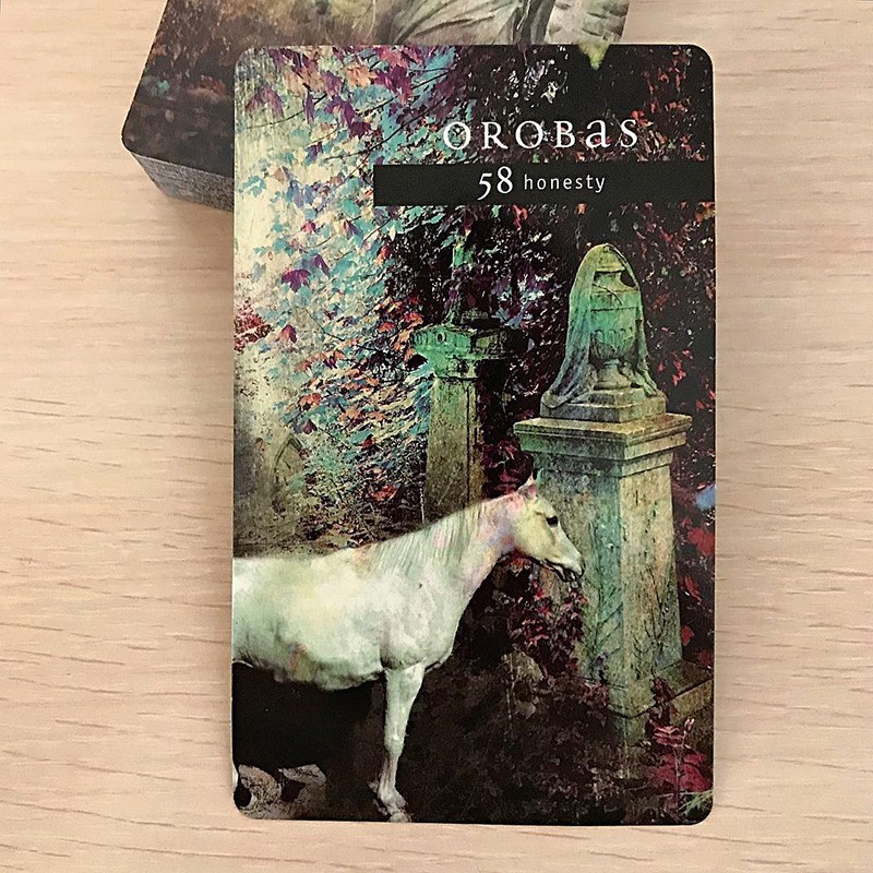 Bộ bài Fallen Angel Oracle Cards (Mystic House Tarot Shop)