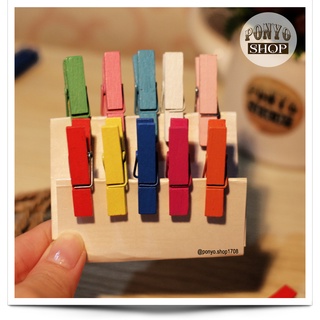 Vĩ 10 kẹp gỗ màu treo ảnh (tặng kèm dây)