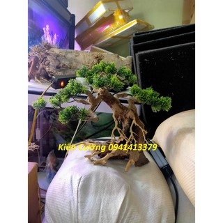 Cây gỗ lũa thủy sinh dùng cho bể cá cảnh, gỗ lúa cao cấp (Mẫu 4)