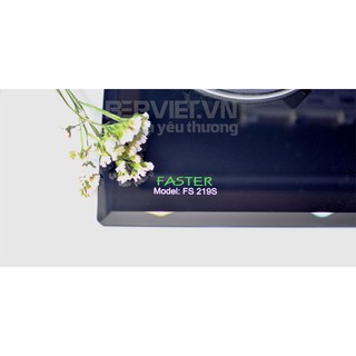Bếp Ga Faster FS 219S