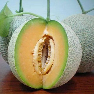 Hạt giống Dưa lưới F1 (MV)