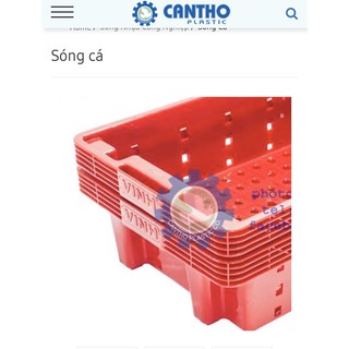 sóng cá- kết cá