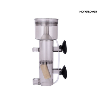 Thiết Bị Lọc Nước Chuyên Dụng Cho Bể Cá