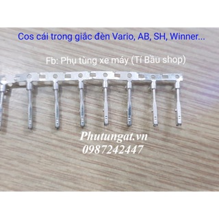 Cos cái trong giắc đèn ab, sh, vario, winner ...