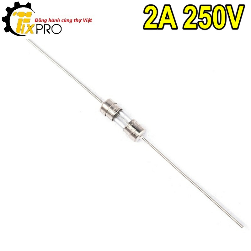 [10c] Cầu chì chân cắm 2A 250V 3x10mm.