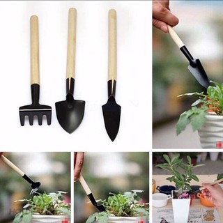Bộ dụng cụ làm vườn mini 3  món