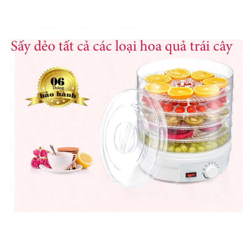 Máy Sấy Hoa Quả , Trái Cây ,Thảo Dược Mini Tại Nhà