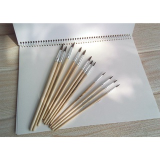 Set 12 cọ vẽ chuyên dụng