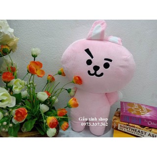 Gấu bông Cooky size lớn - Ảnh thật