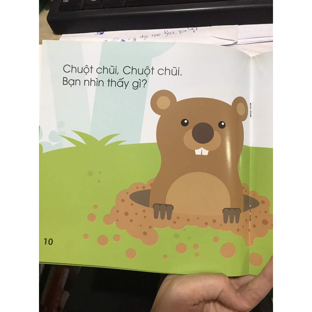 Sách - Gấu nhỏ gấu nhỏ bạn nhìn thấy gì?