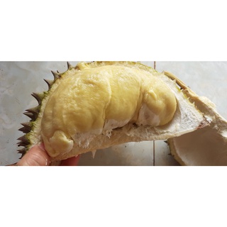 Sầu riêng Thái monthong ( dona)