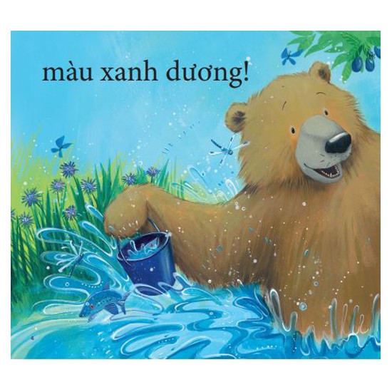 Sách – The Bear Books: Gấu Nhận Biết Màu Sắc – Bear Sees Colors