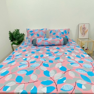 set 4 drap/ga áo gối THUN LẠNH HÀN QUỐC