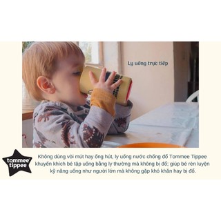 Ly Tommee Tippee No-Knock 300ml từ 18 tháng