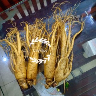 Sâm tươi hàn quốc 4 cũ 1 kg hàng chuẩn Hàn loại đẹp