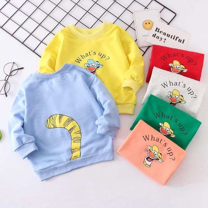 Áo Khoác SWEATER In Hình Hổ Hoạt Hình Nhập Khẩu Cho Bé Trai 0 6 Tháng 1 2 3 Tuổi