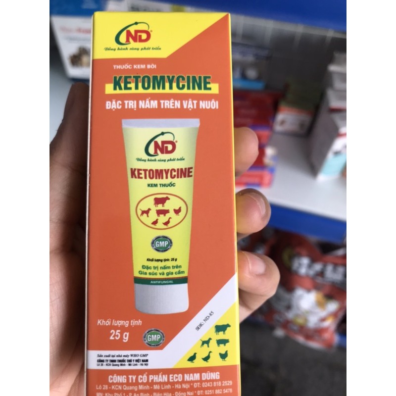 KETOMYCIN DÙNG CHO CHÓ MÈO BỊ NẤM NẶNG