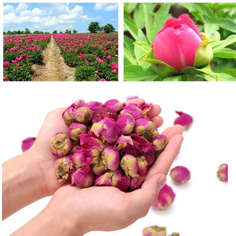 Trà Hoa Mẫu Đơn (Nụ Mẫu Đơn Khô)