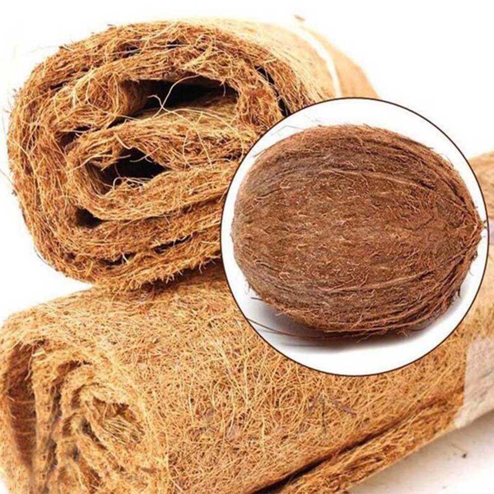 Thảm Sợi Dừa Thoáng Khí Cho Bò Sát