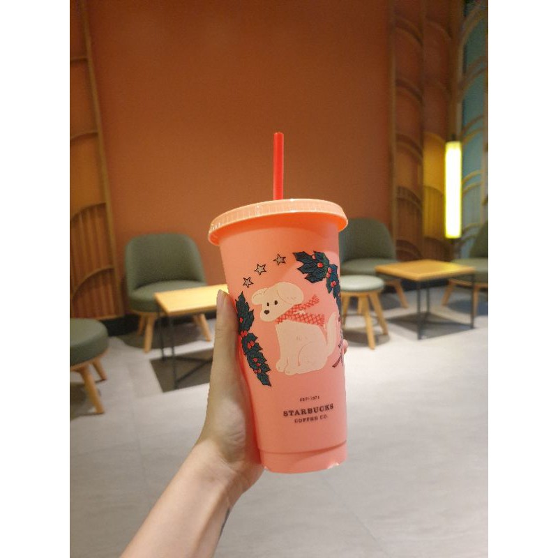 ly SB coldcup