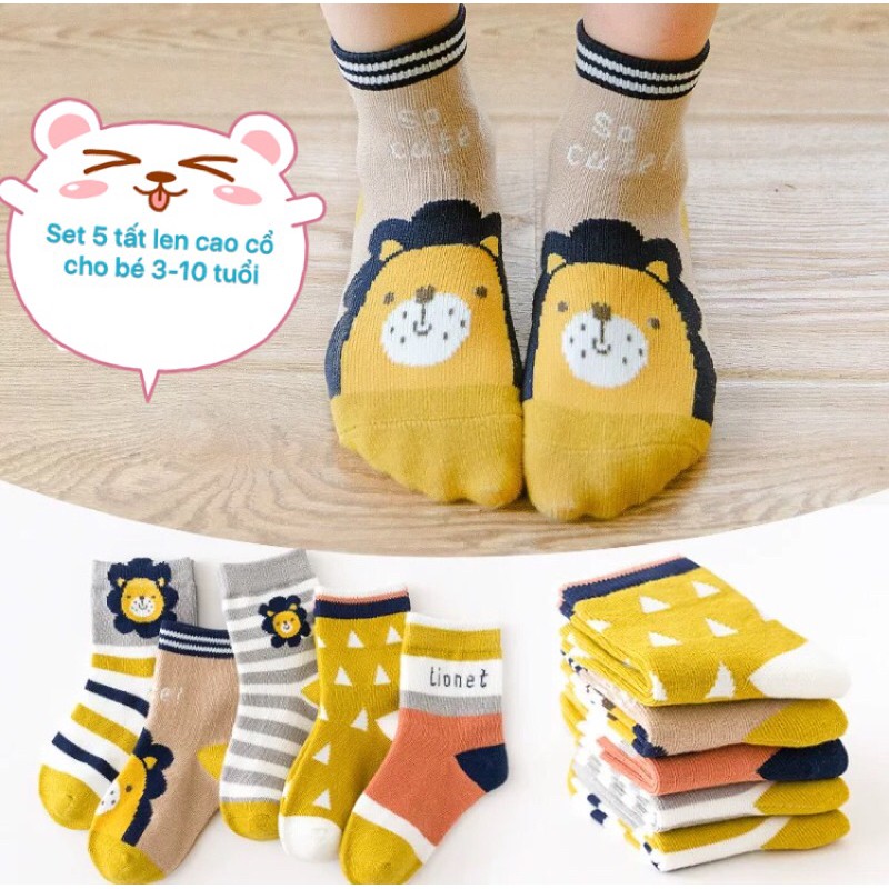 Nini_kids:Set 5 tất len co giãn cao cổ cho bé 3-10 tuổi, Tất cho bé, tất len