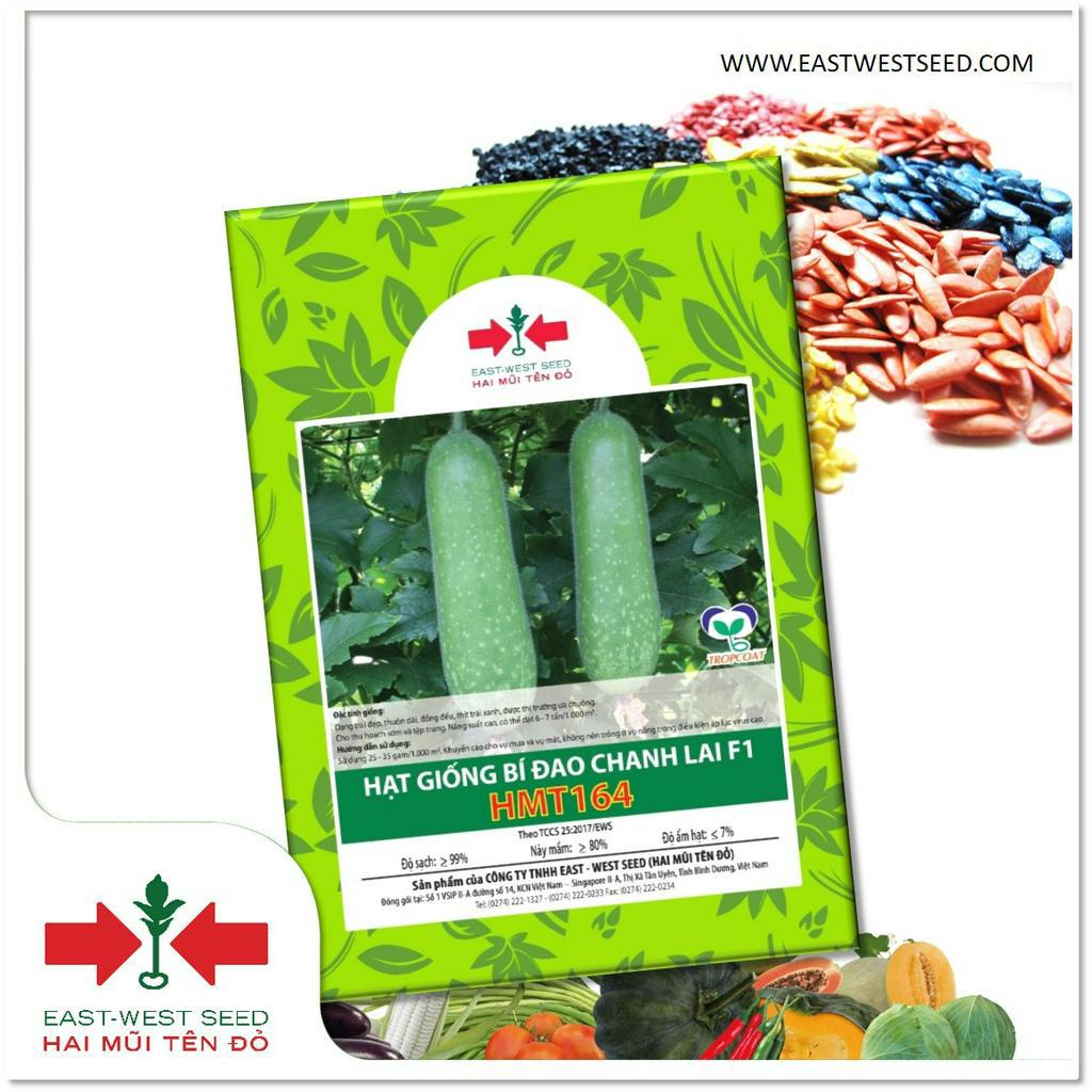 GÓI 2g (KHOẢNG 70 HẠT) HẠT GIỐNG BÍ ĐAO CHANH LAI F1 HMT164 CỦA EAST-WEST SEED (HAI MŨI TÊN ĐỎ)