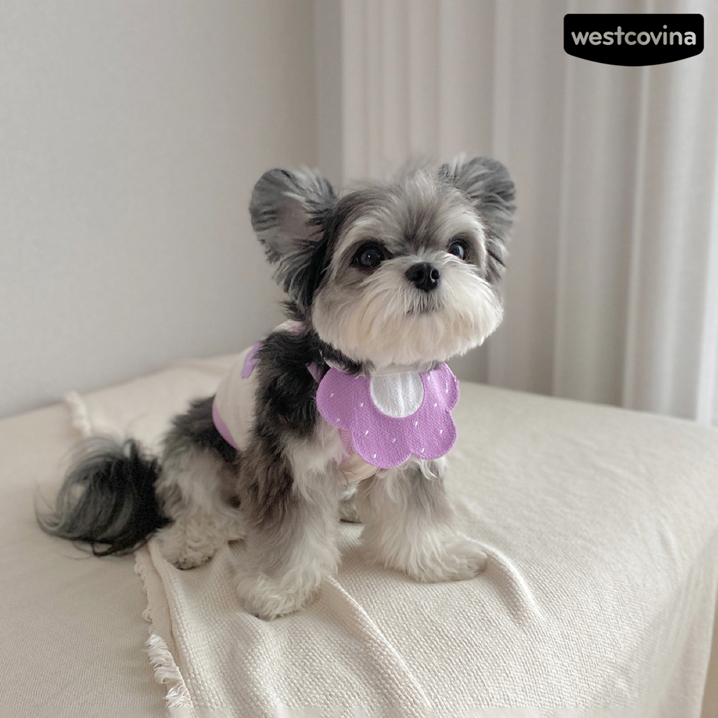 Vòng cổ kèm yếm ăn dệt kim hình bông hoa đáng yêu cho cún cưng