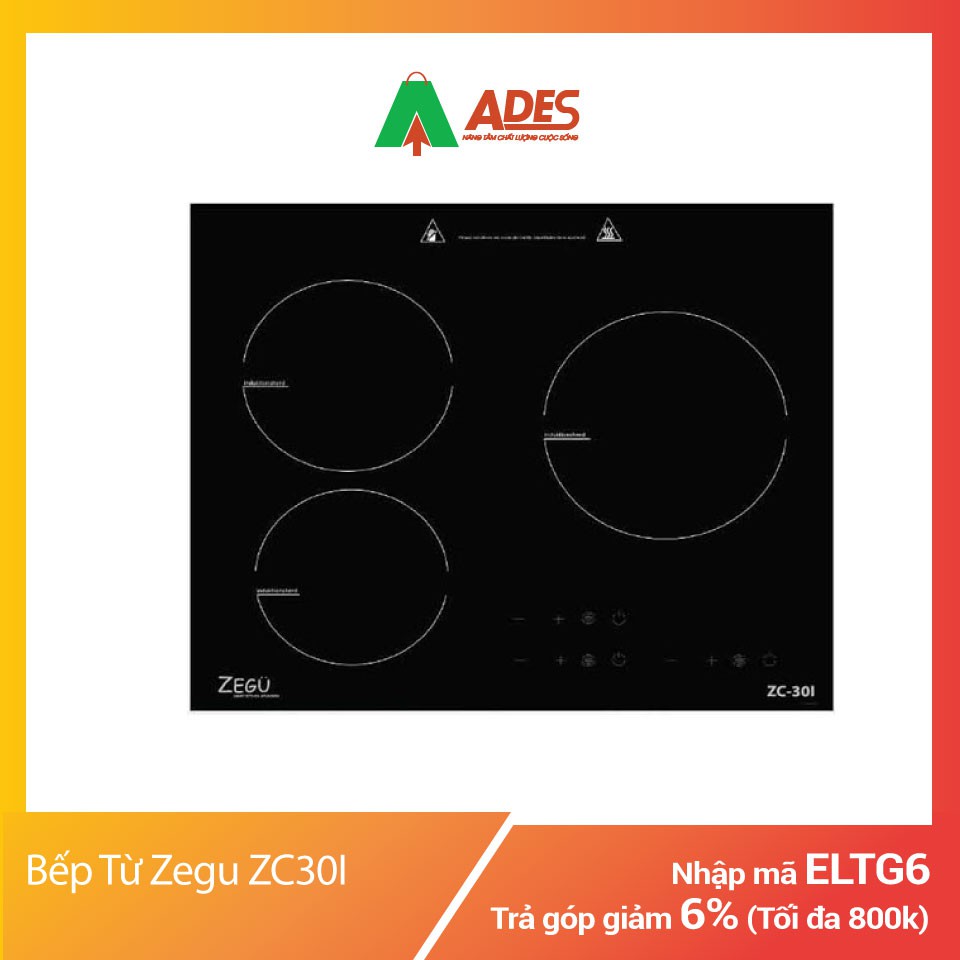 Bếp Từ Zegu ZC-30I