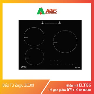 Bếp Từ Zegu ZC-30I