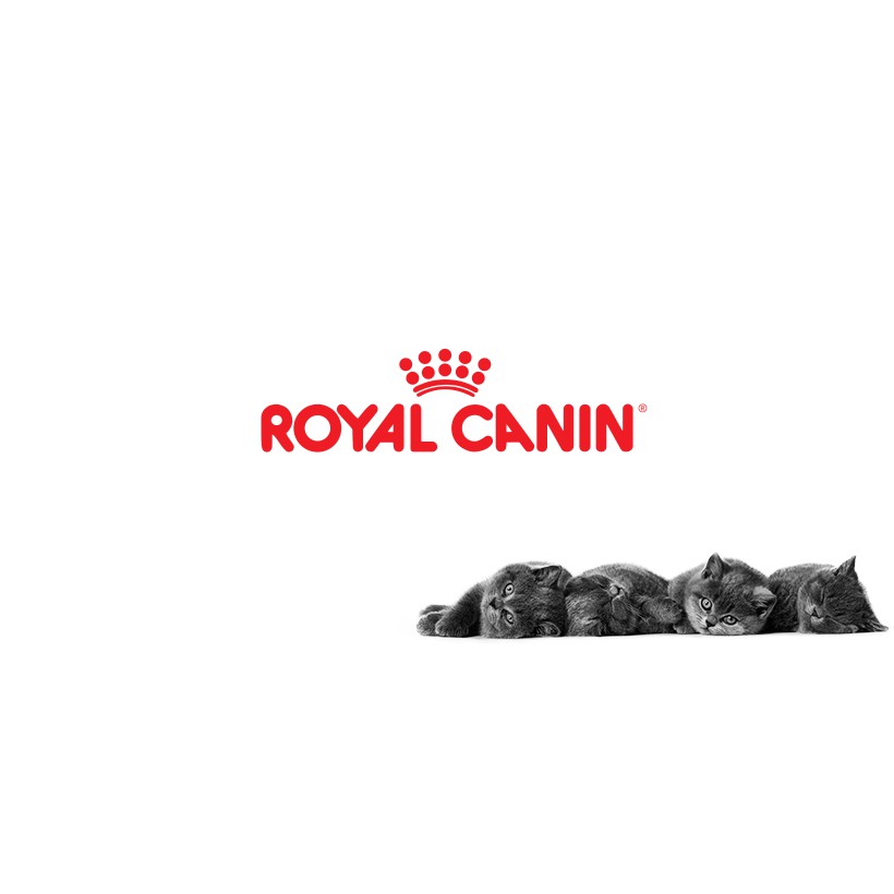 400g,THỨC ĂN CHO MÈO ROYAL CANIN KITTEN Dành cho mèo con từ 4 - 12 tháng tuổi