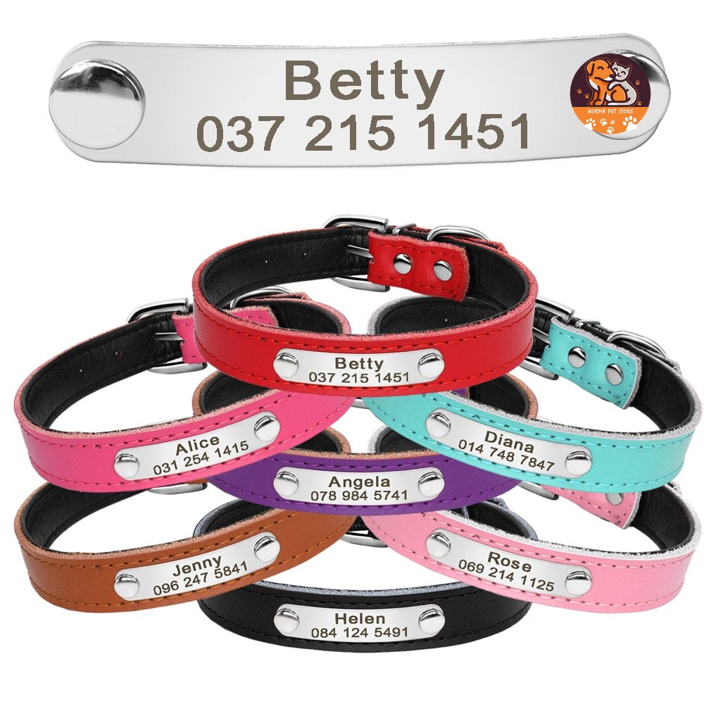 【RIZER】Vòng Cổ Khắc Tên ID Tùy Chỉnh Cá Nhân Hóa Cho Mèo