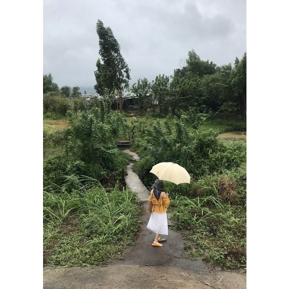 PASS áo lụa tơ vàng