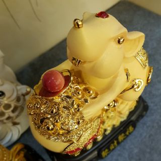 Chuột vàng phong thủy