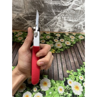 Kéo cắt cành Buddy  BD035