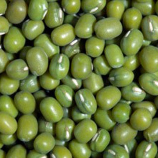ĐẬU XANH HỘT 1 KG