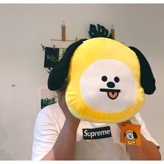 Gấu Cushion BT21 Mẫu 1
