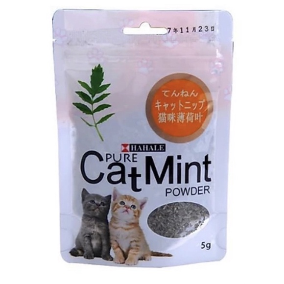 Cỏ mèo bạc hà catmint gói 5g