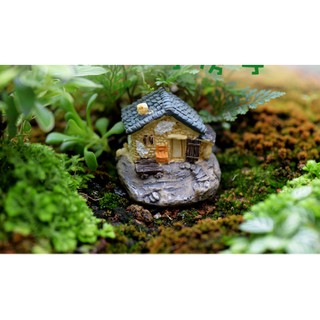 [Tiểu Cảnh] ❤❤Ngôi Nhà Xinh Xắn❤❤ Phụ Kiện Trang Trí Tiểu Cảnh Sen Đá, Terrarium, Decord Mô Hình, Nhà Búp Bê