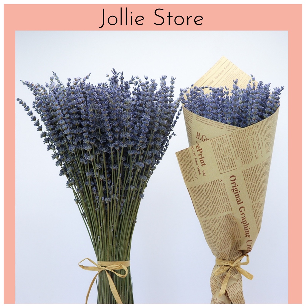 Bó hoa lavender khô vĩnh cửu thơm và nhiều nụ