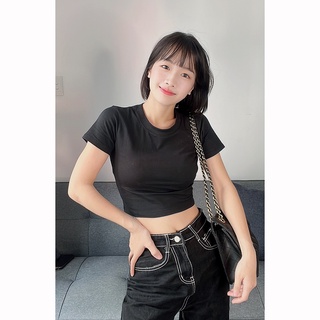Áo croptop body tay ngắn kiểu dáng basic đơn giản CC005