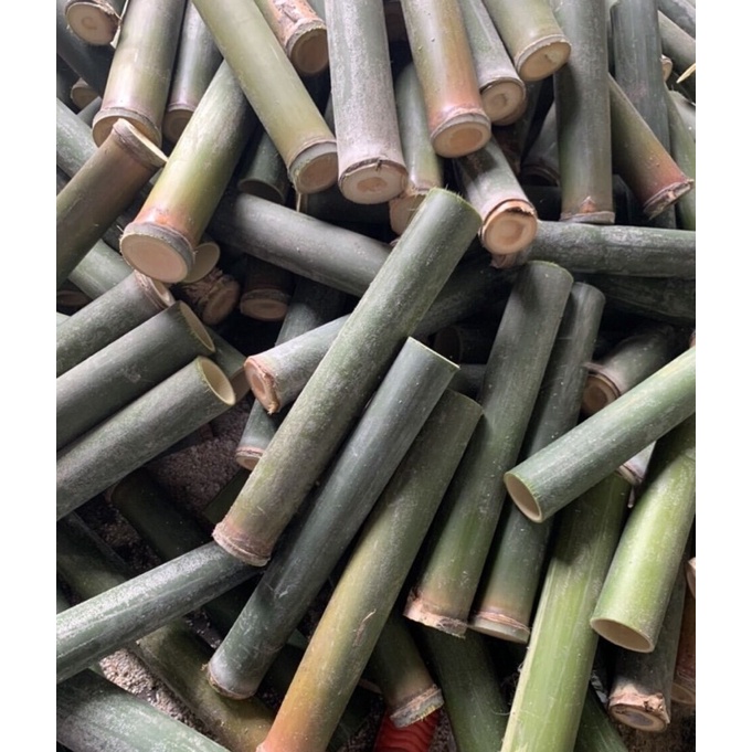 Combo ống tre nấu cơm lam ống 25cm
