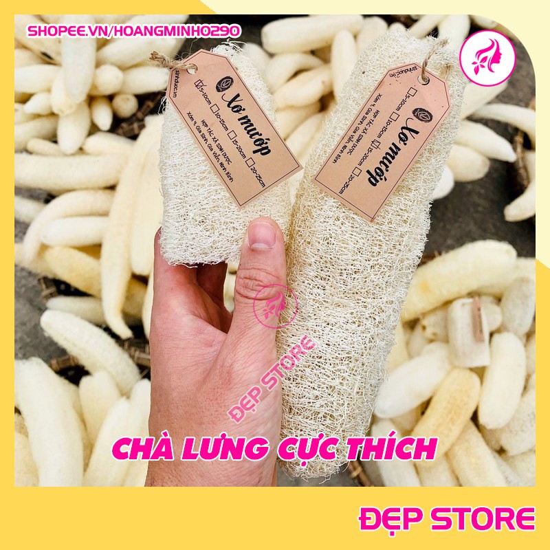 Xơ Mướp Khô Chà Lưng FREESHIP Dài 5 - 20 cm, tẩy tế bào hiệu quả làm hoàn toàn từ mướp tự nhiên.