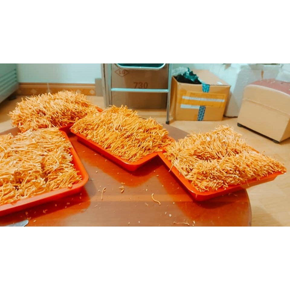 [30g] Nấm Đông trùng hạ thảo Cordypharm Đóng hộp thiếc (Theo đề tài cấp nhà nước)