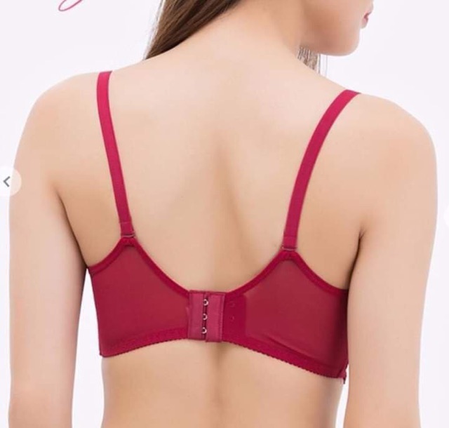 Áo ngực su lưới cao cấp